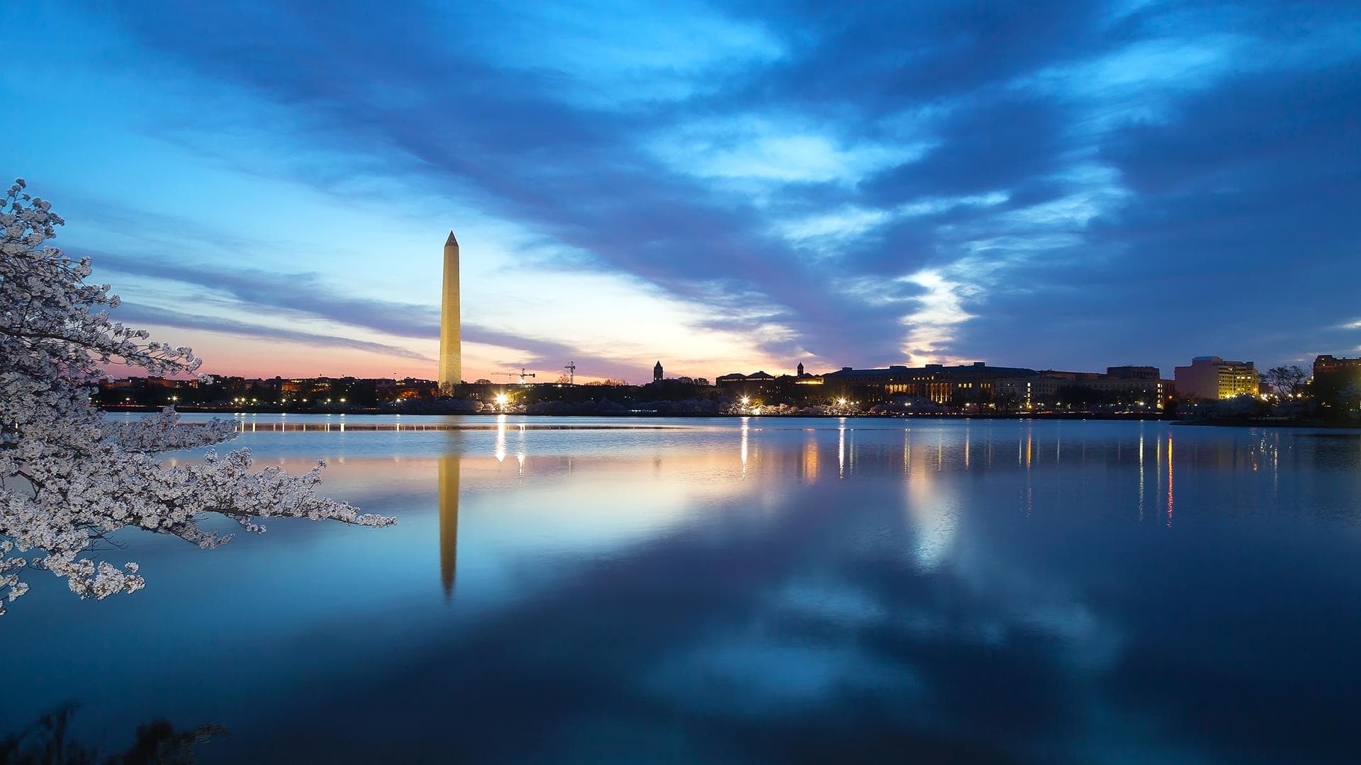 Georgetown Orthodontics practice — Palisades, Washington DC